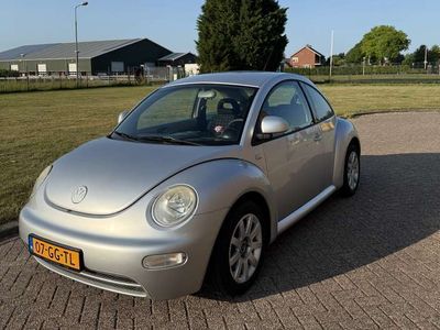 VW Beetle