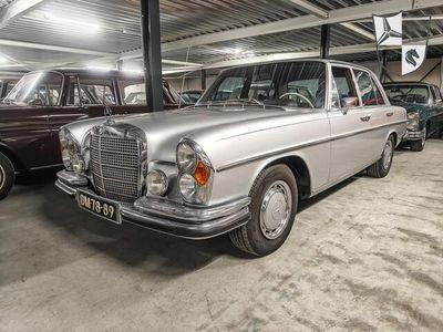 Occasion Mercedes 280 SE 231 PK (169 kW) 1972 Grijs Sedan