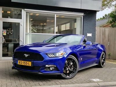 tweedehands Ford Mustang Convertible 2.3 EcoBoost NIEUWSTAAT / FULL OPTIONS