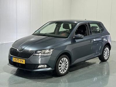 Grijs Occasion 2020 Skoda Fabia Ambition Hatchback | € 13.500 (Iets duurder)