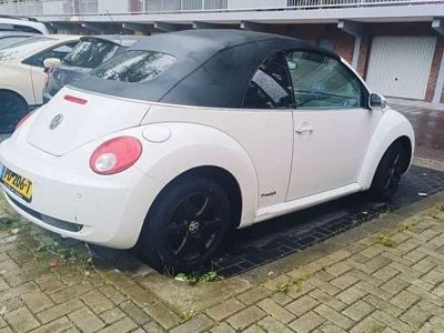 VW Beetle