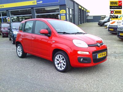 tweedehands Fiat Panda 0.9 TwinAir Lounge / Rijklaarprijs