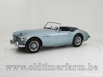 tweedehands Austin Healey 100/6 BN4 '58 CH6488