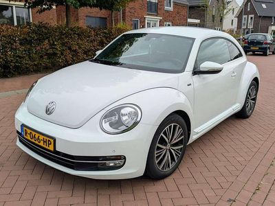 VW Beetle