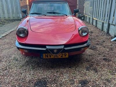 Occasion Alfa Romeo Spider 128 PK (94 kW) 1988 Cabriolet