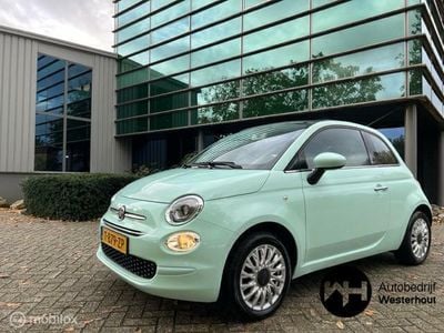 Occasion Fiat 500 Lounge 69 PK (50 kW) 2019 Groen Cabriolet
