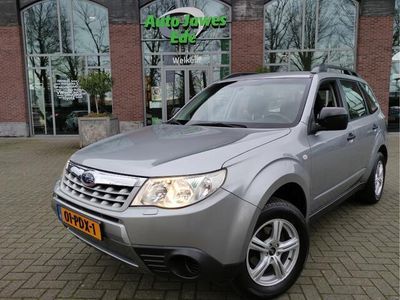 tweedehands Subaru Forester 2.0 X Intro Trekhaak - Parkeersensoren - LMV - Cru