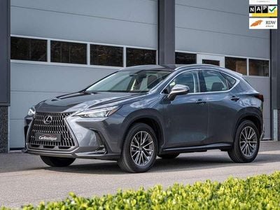 Occasion Lexus NX350h Business Edition 190 PK (139 kW) 2024 Grijs SUV