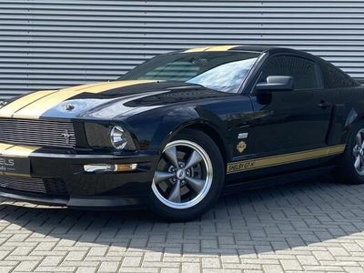 tweedehands Ford Mustang USA Shelby 4.6 V8 GT-H Hertz