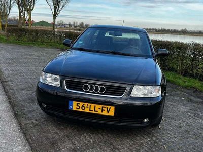 tweedehands Audi A3 1.6 Attraction