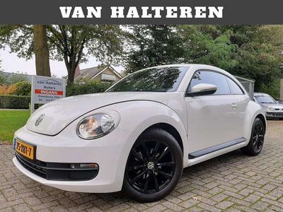 tweedehands VW Beetle 1.2 TSI Trend Cruise Control Sportvelgen