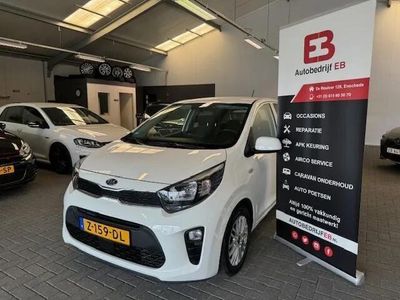 Occasion Kia Picanto First Edition 67 PK (49 kW) 2017 Wit Hatchback