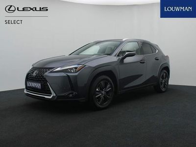 tweedehands Lexus UX 250h Luxury Line *NIEUW* | DIRECT Leverbaar !