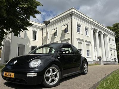 VW Beetle