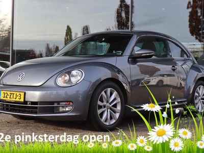 VW Beetle