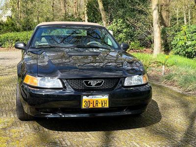 tweedehands Ford Mustang 3.8 V6 Convertible