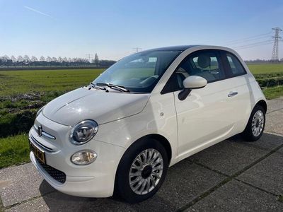 tweedehands Fiat 500 1.0 Groot Navigatie, Panorama dak, apple carplay