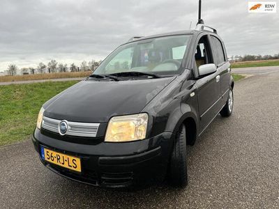 tweedehands Fiat Panda 1.2 Dynamic incl nieuwe apk