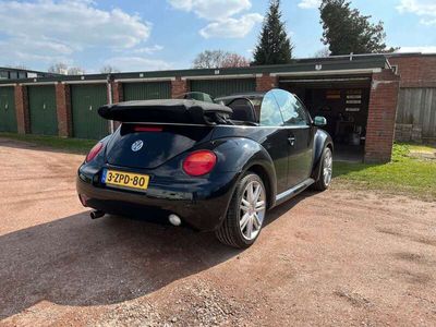VW Beetle