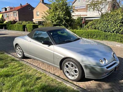 Alfa Romeo Spider