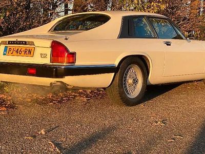 Occasion Jaguar XJS 295 PK (216 kW) 1986