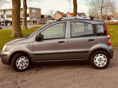 tweedehands Fiat Panda 1.2 Active