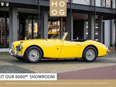 Occasion 1957 Austin Healey 100/6 Cabriolet | € 54.950