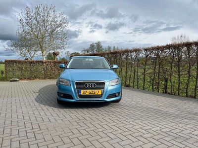 tweedehands Audi A3 A31.6 Attraction B.E.