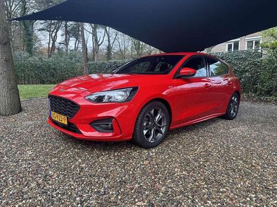 Occasion Ford Focus ST-Line 125 PK (91 kW) 2019 Rood Hatchback