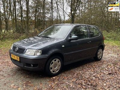 VW Polo