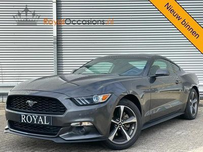 tweedehands Ford Mustang Fastback 2.3 EcoBoost