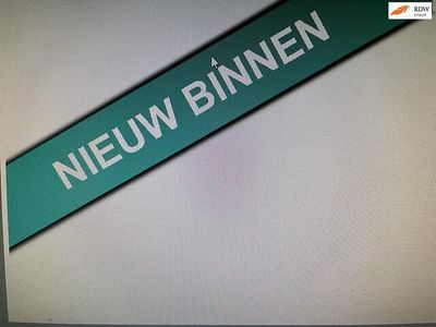 Zwart Occasion 2011 Kia Picanto Hatchback | € 2.750 (Eerlijke prijs)