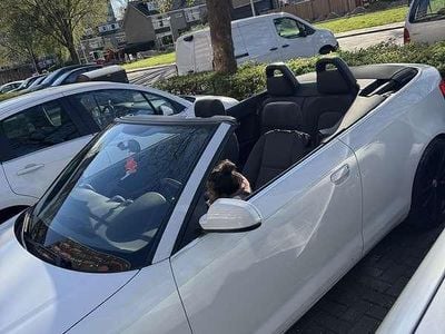 Occasion 2011 Audi A3 Cabriolet Attraction Cabriolet | € 7.999 (Eerlijke prijs)