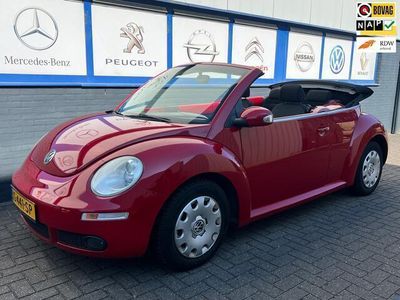 VW Beetle