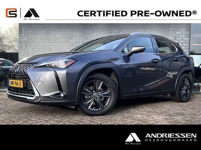 Occasion Lexus UX 2025 Grijs SUV