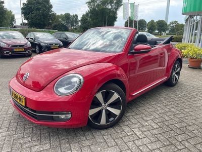 VW Beetle