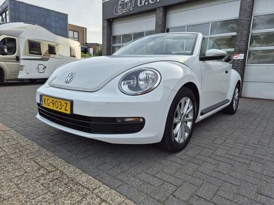 VW Beetle
