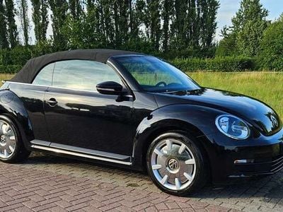VW Beetle
