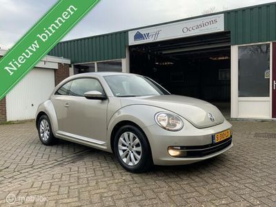 VW Beetle