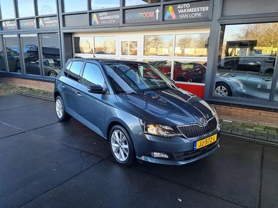 Grijs Occasion 2016 Skoda Fabia Joy Hatchback | € 11.350 (Iets duurder)