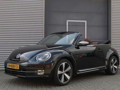 VW Beetle