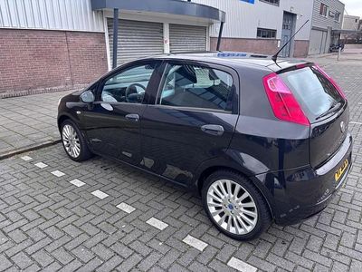 Gebruikt 2009 Fiat Punto | € 2.000 (Eerlijke prijs)