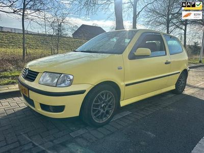 VW Polo
