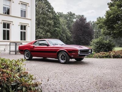 tweedehands Ford Mustang Shelby GT350 Fastback