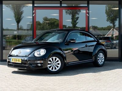 VW Beetle
