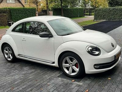 VW Beetle