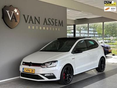 Wit Gebruikt 2016 VW Polo GTI Hatchback | € 16.995 (Eerlijke prijs)