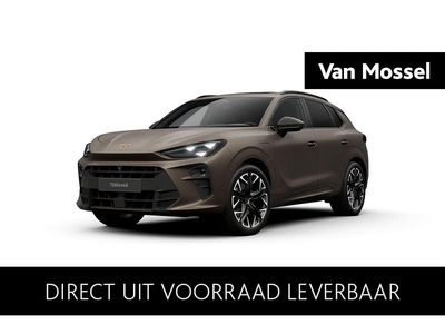 Bruin Nieuw 2025 Cupra Terramar SUV | € 55.765 (Duur)