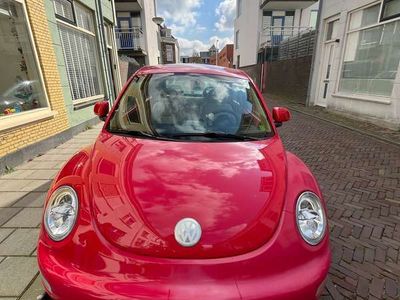 VW Beetle