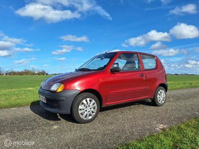 tweedehands Fiat Seicento 1.1 ie Young